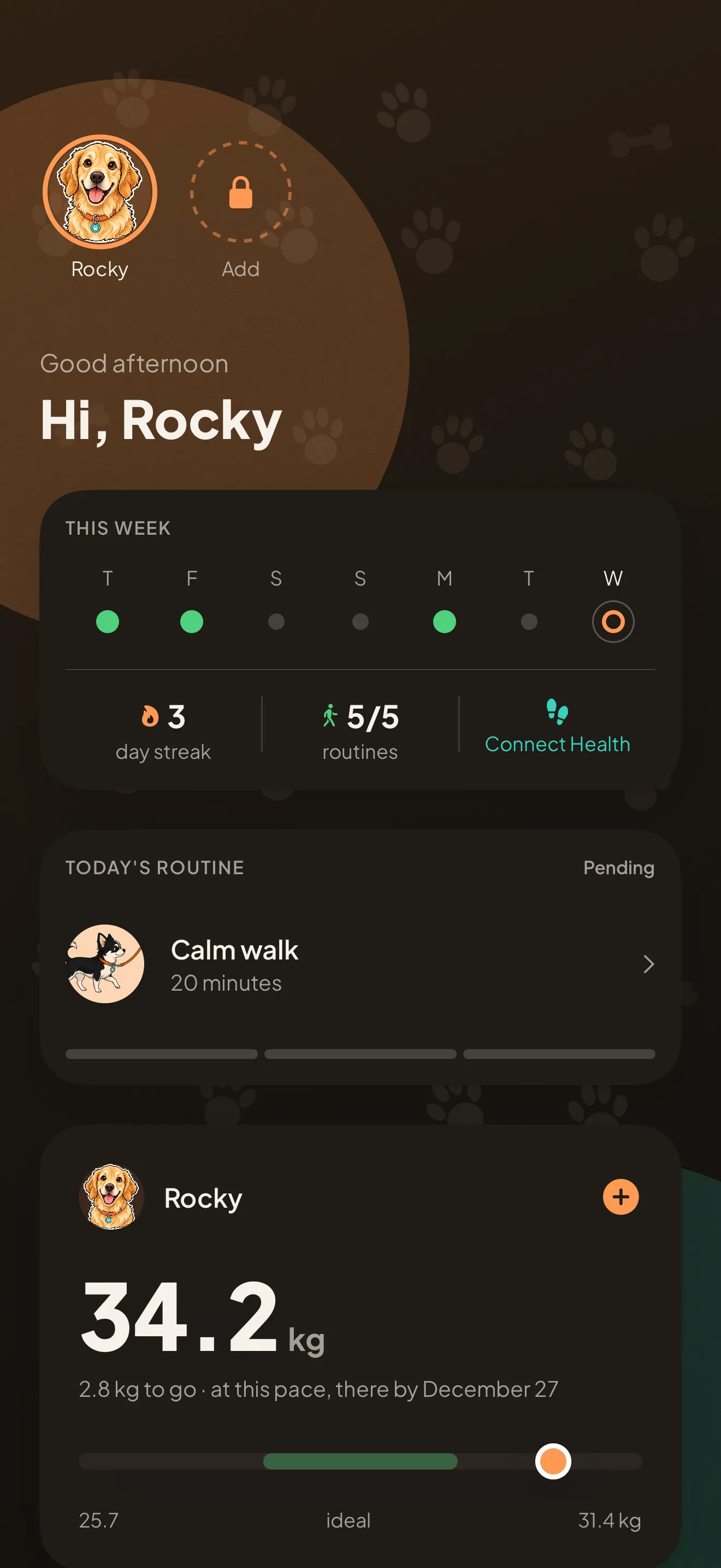 The Kanid dashboard on an iPhone: the greeting, the week of routines, today’s routine and Rocky’s current weight, 34.2 kg.