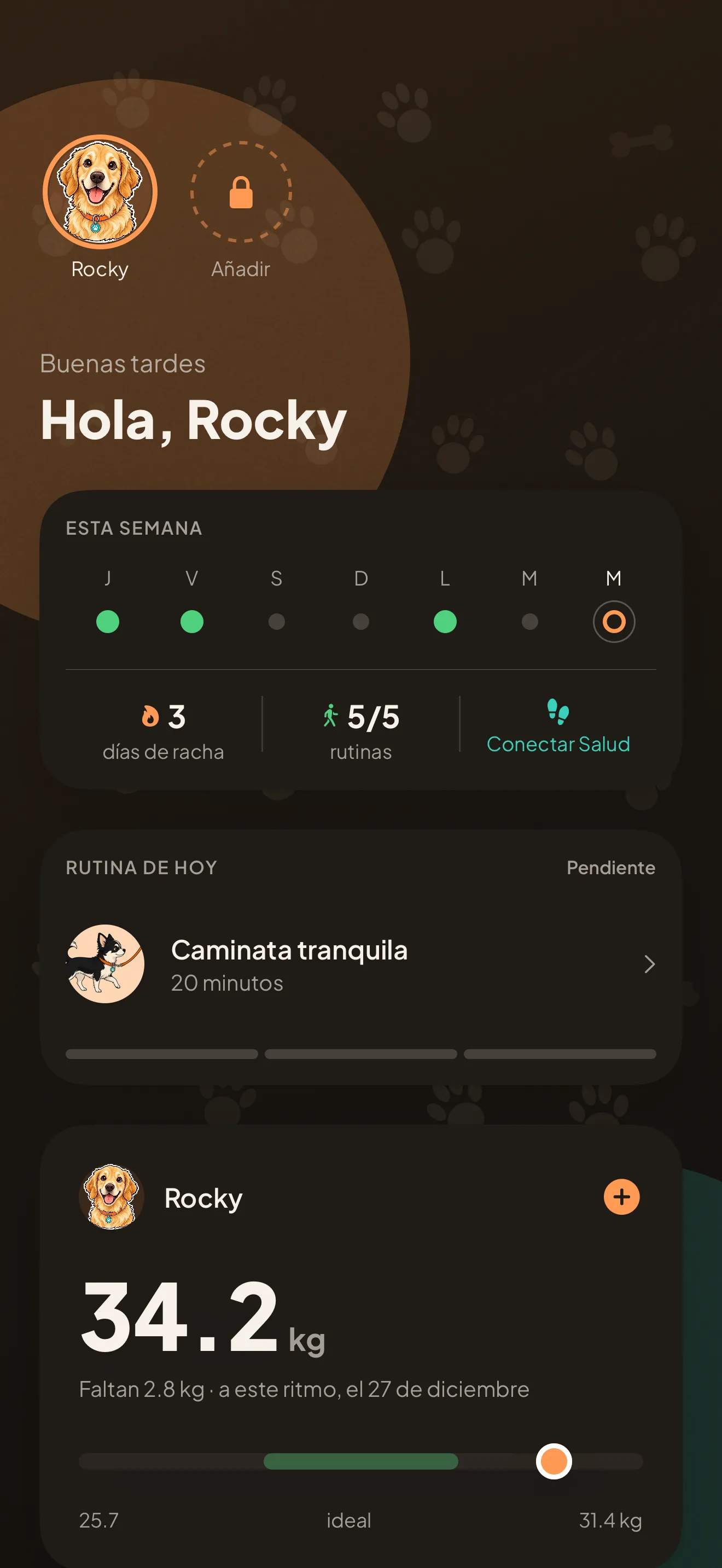 El panel de Kanid en un iPhone: el saludo, la semana de rutinas, la rutina de hoy y el peso actual de Rocky, 34,2 kg.