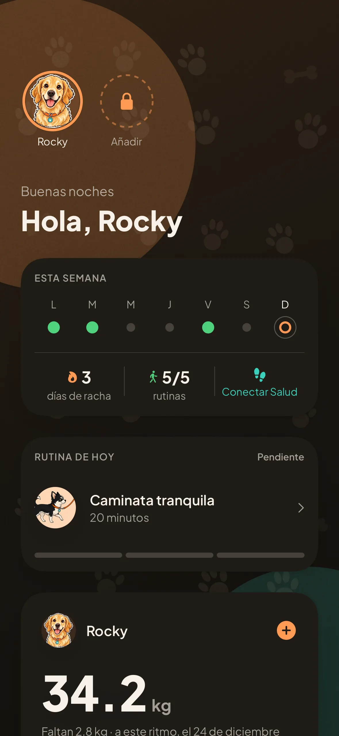 El panel de Kanid en un iPhone: el saludo, la semana de rutinas, la rutina de hoy y el peso actual de Rocky, 34,2 kg.