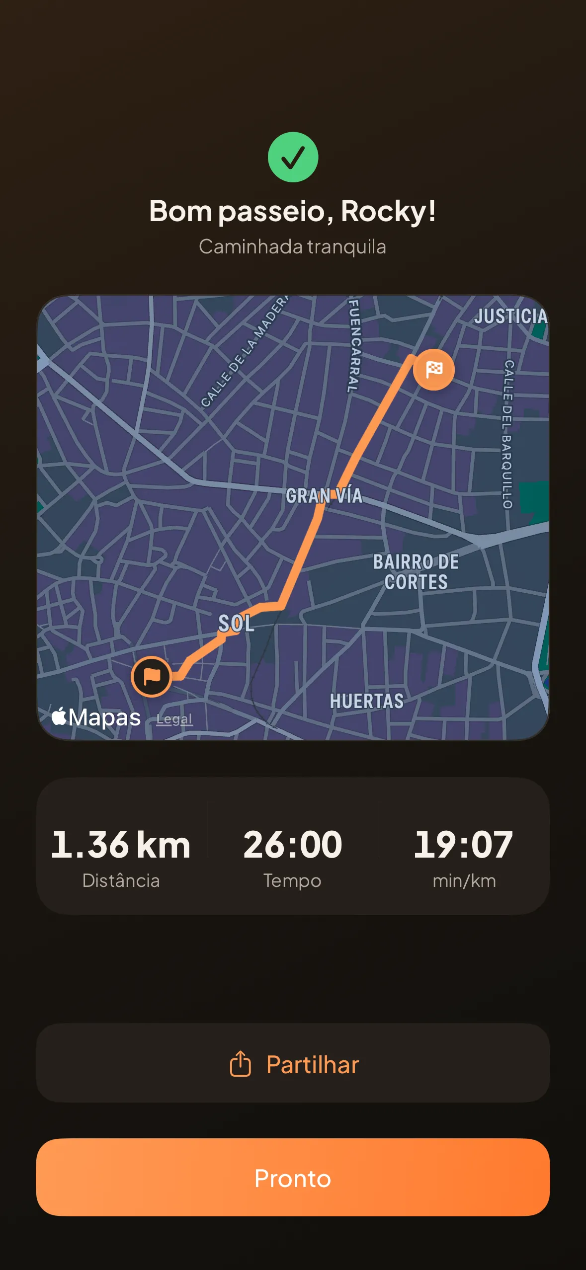 O resumo do passeio: o percurso desenhado no mapa com a distância, o tempo e os minutos por quilómetro.