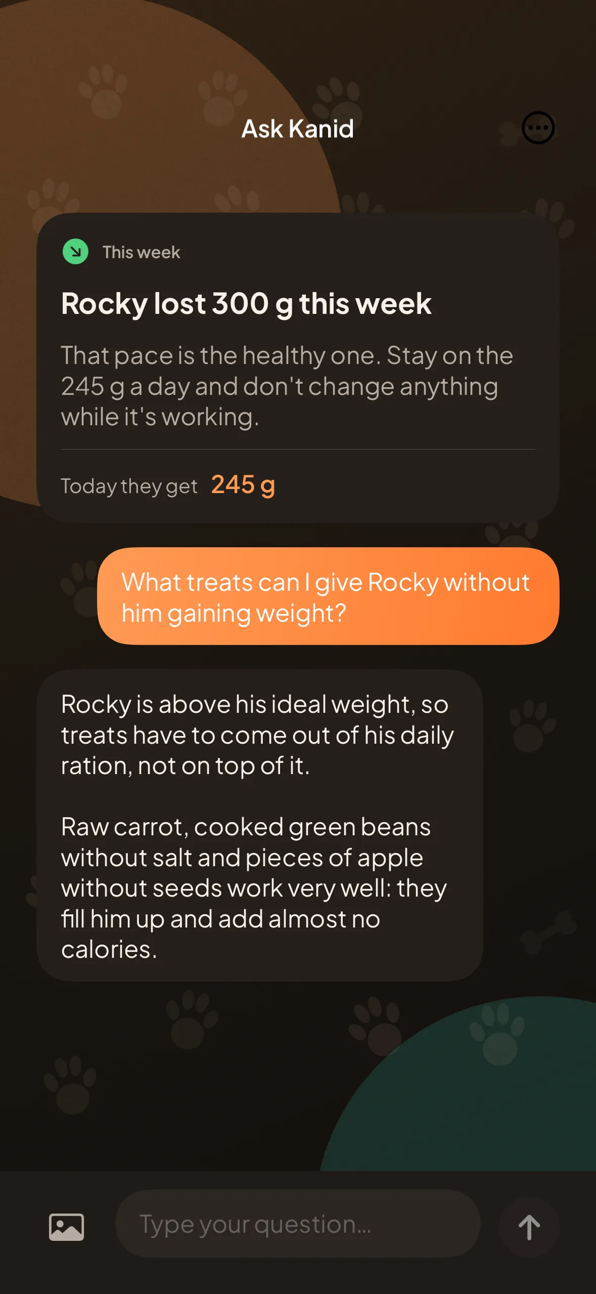 The chat screen: the weekly review card and an answer about treats for a dog above its ideal weight.