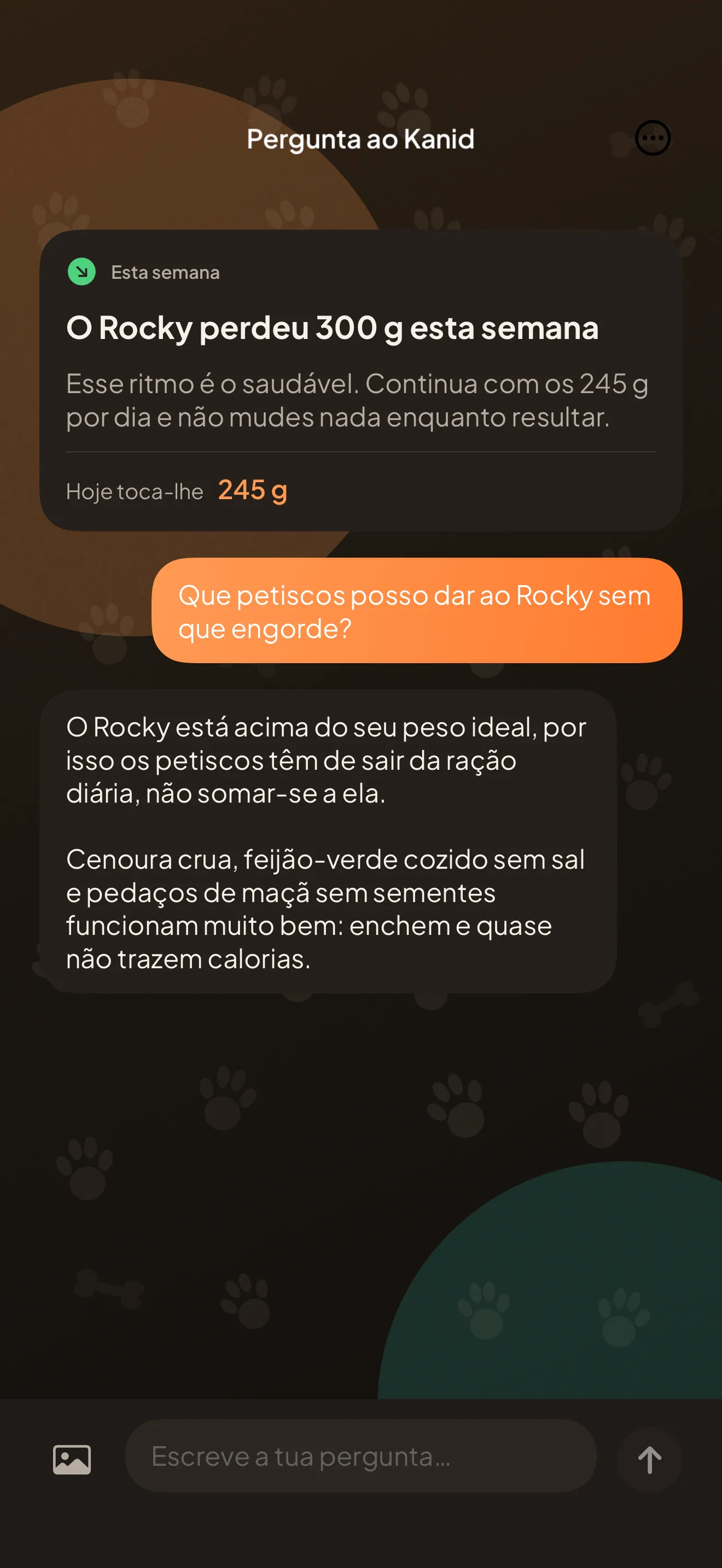 O ecrã de conversa: o cartão da revisão semanal e uma resposta sobre petiscos para um cão acima do peso ideal.
