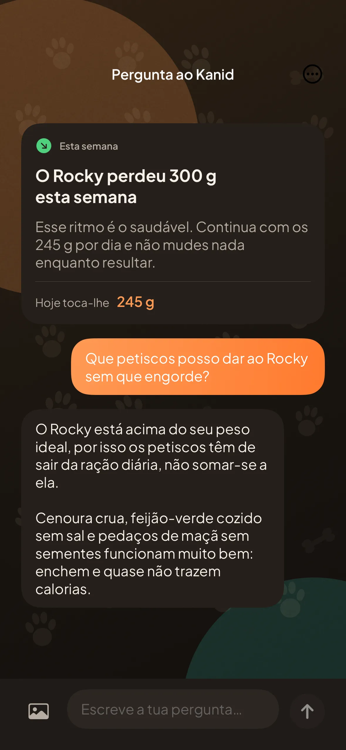 O ecrã de conversa: o cartão da revisão semanal e uma resposta sobre petiscos para um cão acima do peso ideal.